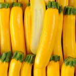 Courgette jaune bio 750g
