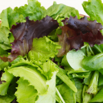 Salades et micro-pousses