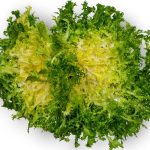 Scarole bio (pièce)