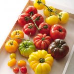 Tomate lot de 3 kg